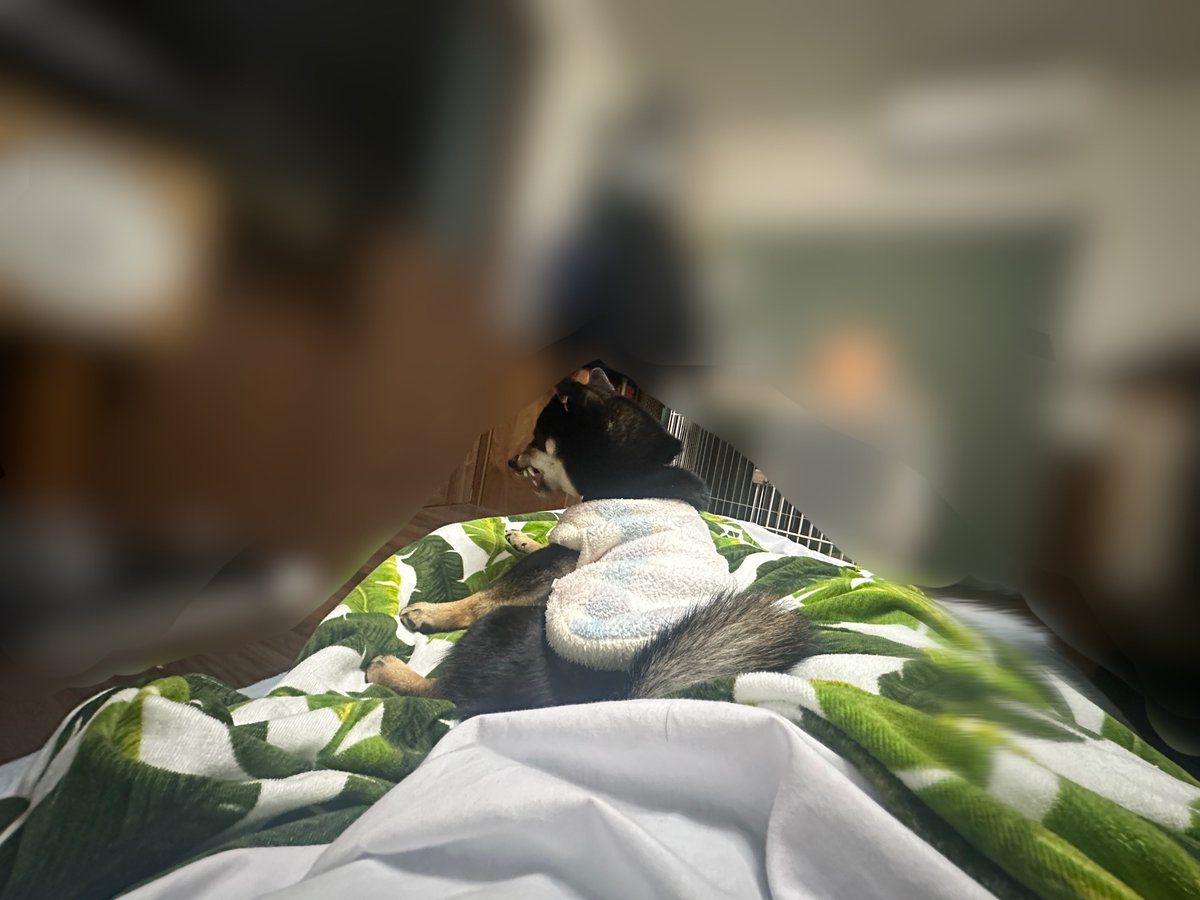 うげええええええええ