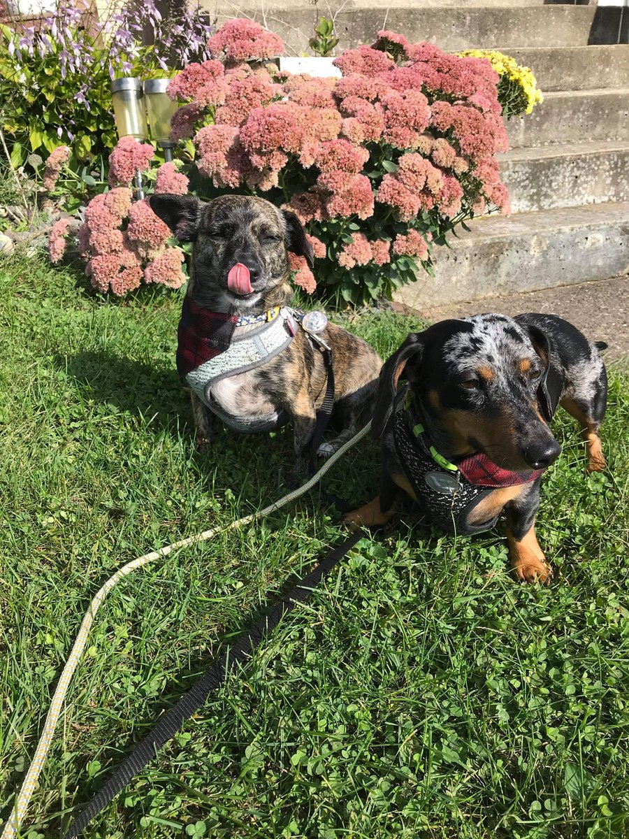 yeah i’m carter 🐀 tweet media