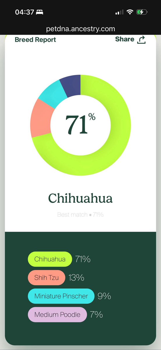 yeah i’m carter 🐀 tweet media