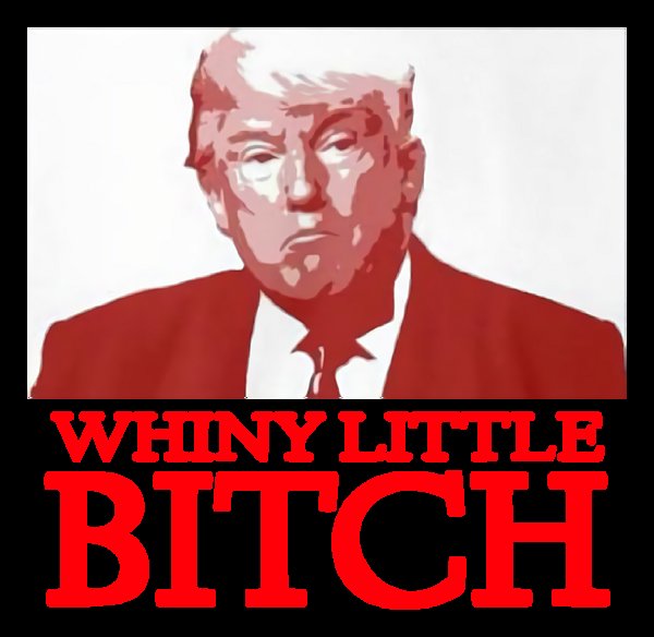 Klc03311225811's tweet image. RT @Christo12919382: Anyone else agree? 
Trump acts like a spoiled brat when he doesn't get his way!