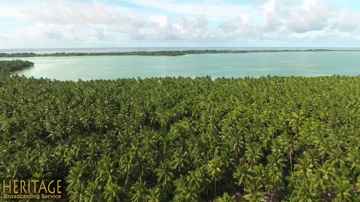 Archaeology Channel tweet media