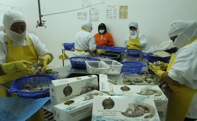 Ecuador ampliará la sobretasa 0% con EE.UU. si equilibra balanza comercial
El ministro de Comercio Exterior explica que la desgravación del 15% al 50% de la oferta pende de varios factores.
#ecuador #eeuu