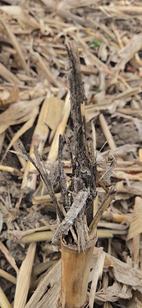 Direct Enterprises, Inc. tweet media