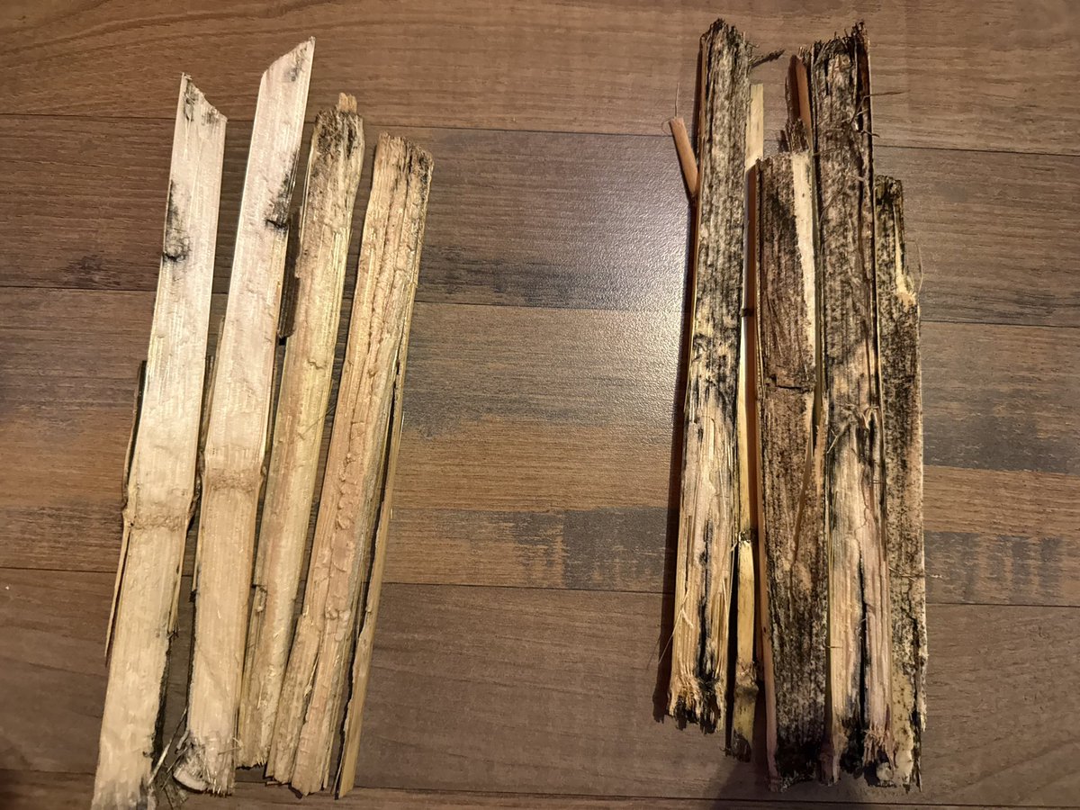 Direct Enterprises, Inc. tweet media