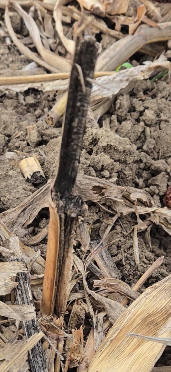 Direct Enterprises, Inc. tweet media