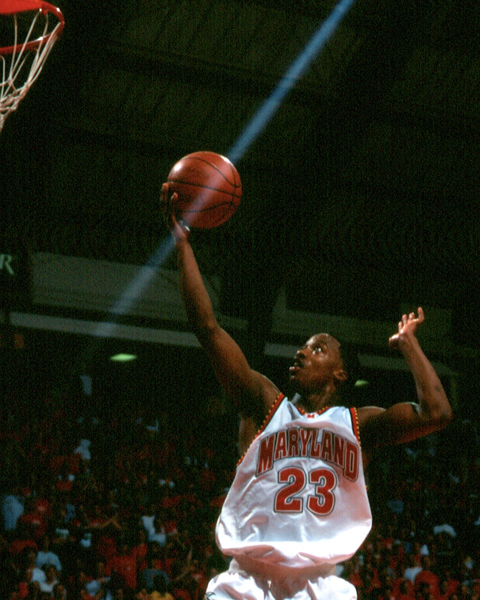 Happy birthday to Stevie Franchise! 🐢