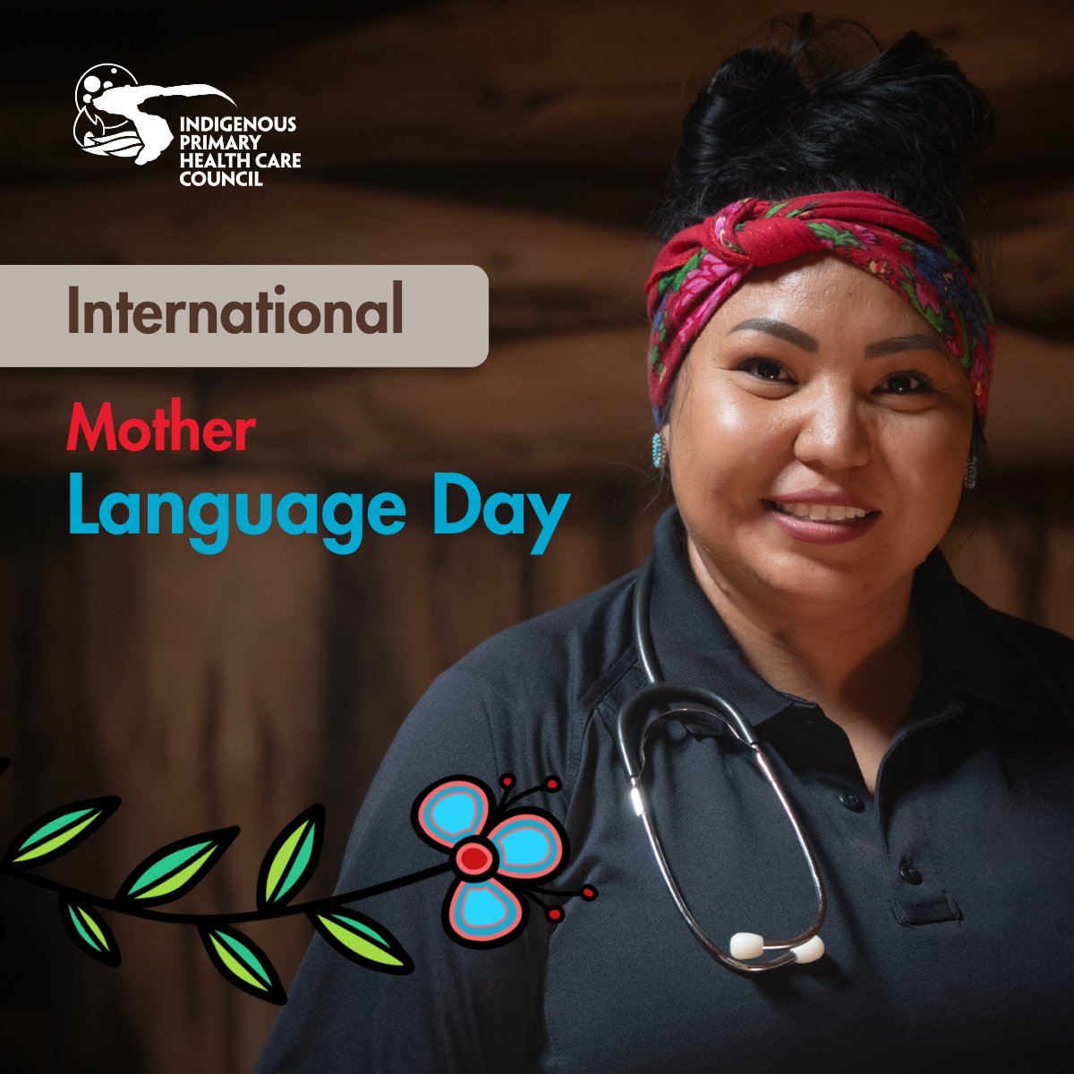 Indigenous Primary Health Care Council tweet media