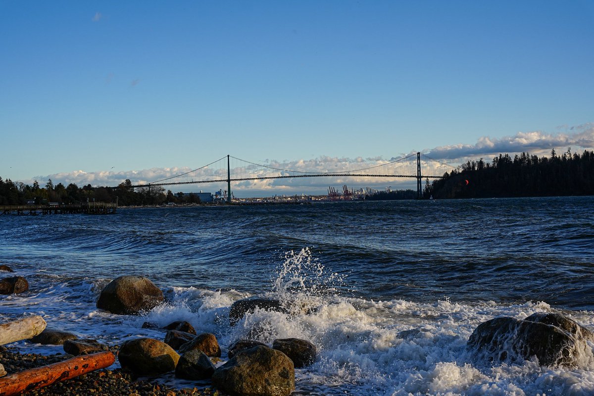 Skykid🍁 tweet media