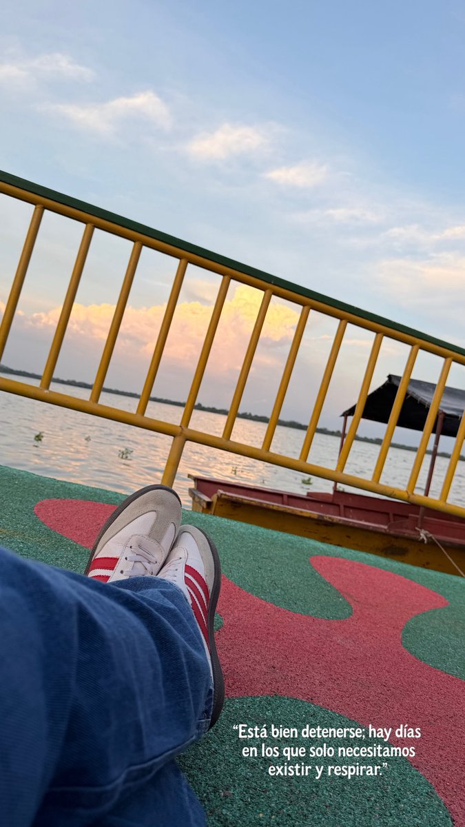 Diana casado🥑 tweet media