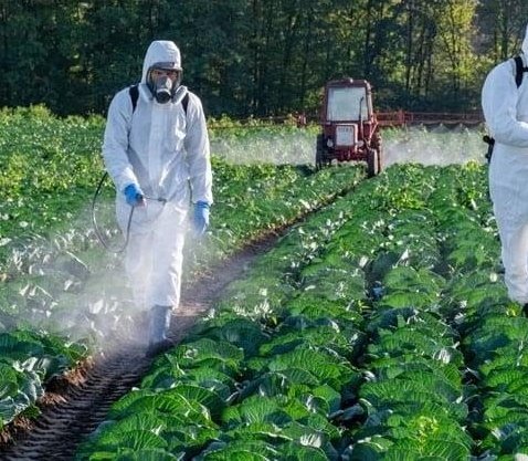 CattardSlim's tweet image. Glyphosate is soooo safe for ingestion that the people spraying it have to protect their lungs, eyes, &amp;amp; every square inch of skin.

MAHA 👍