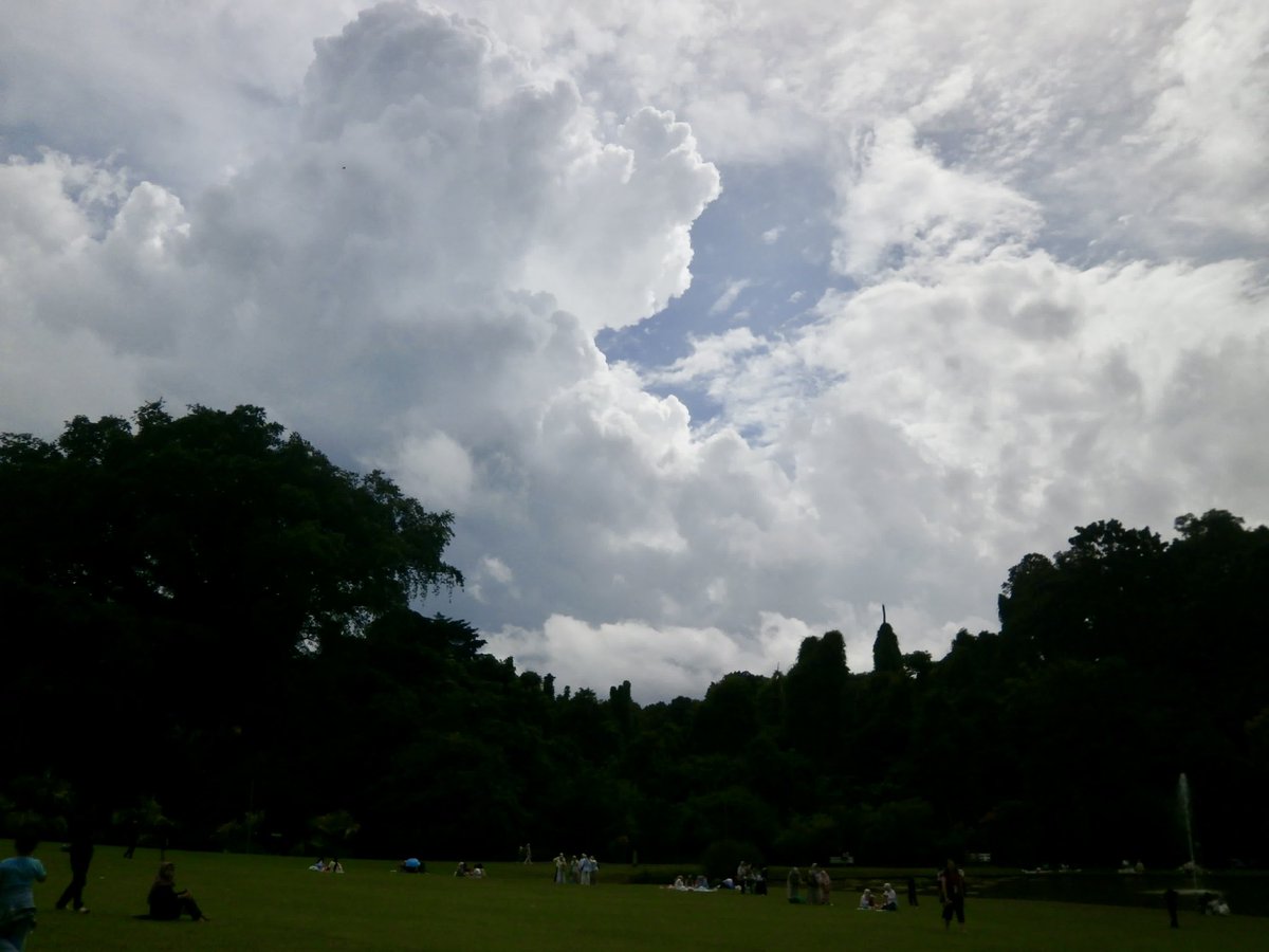 t i ka •ᴗ• tweet media