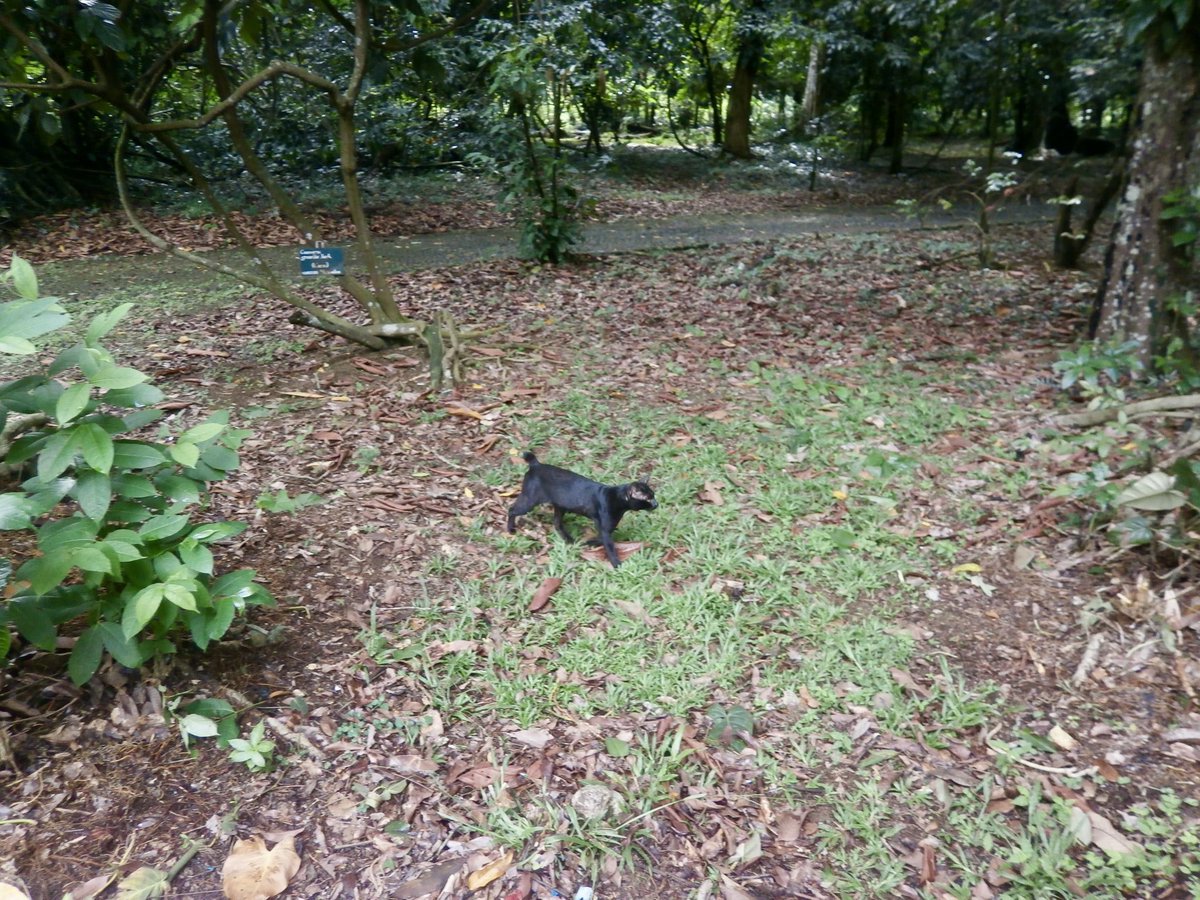 t i ka •ᴗ• tweet media