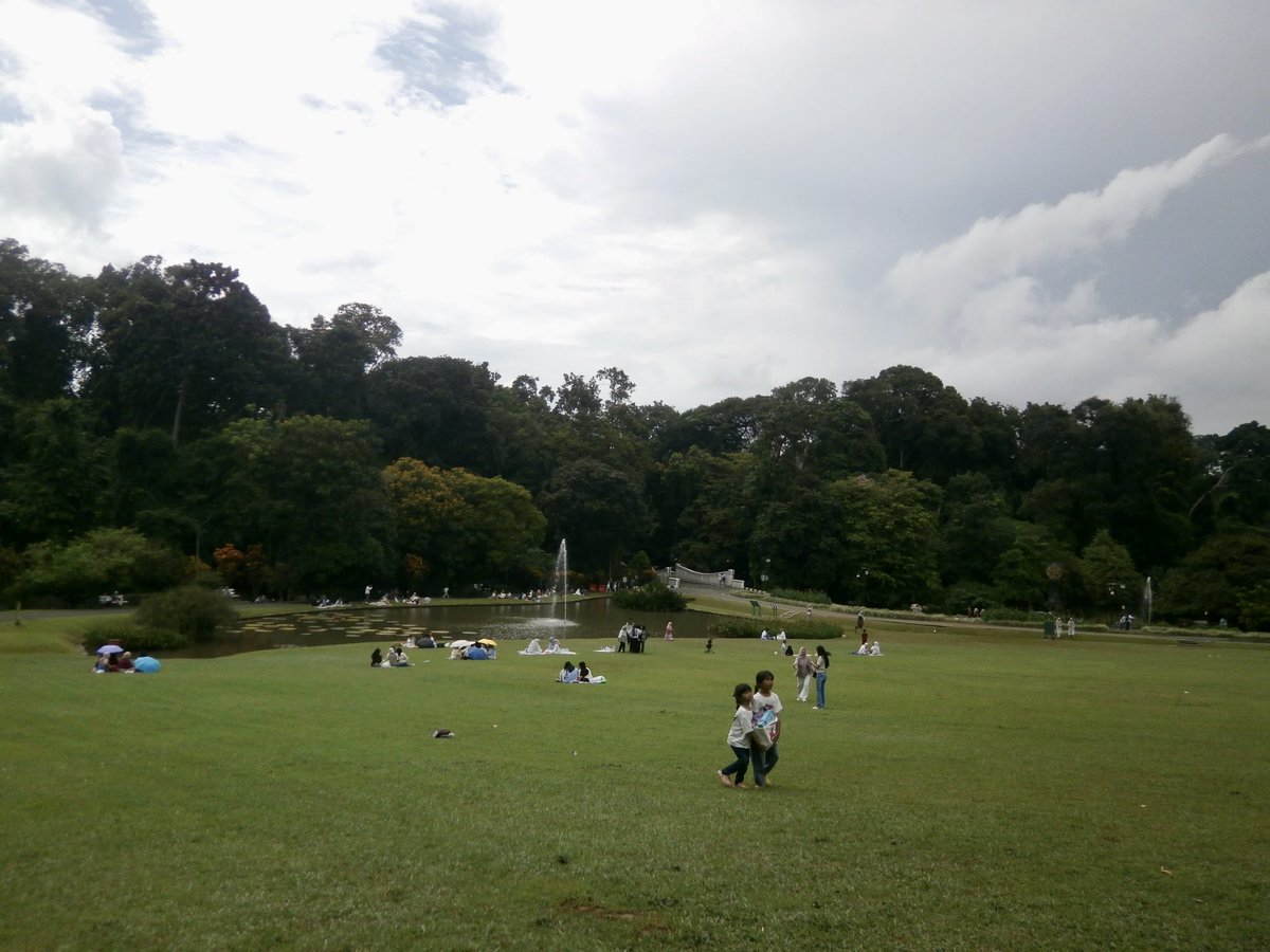 t i ka •ᴗ• tweet media