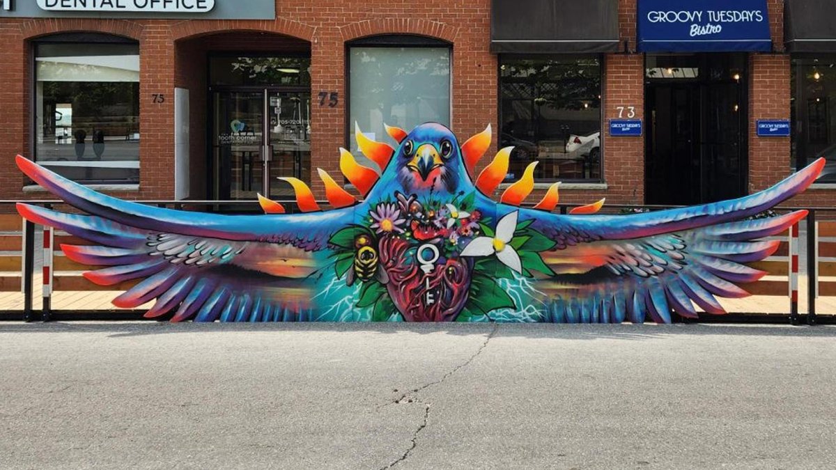 Reminder: The Virtual Information Session for the Brightening