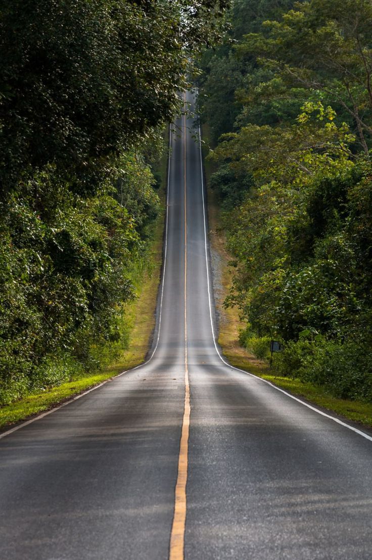 Si no has amado a lo largo de tu vida, esta no habrá merecido la pena.