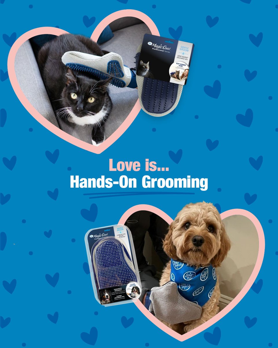 FourPawsBrand's tweet photo. #LoveYourPetDay is the perfect day to turn grooming time into a petting session! 💙 The Love Glove grooming mitt easily lifts away debris and loose hair with every stroke. Available for dogs and cats on @Amazon.

#FourPawsProducts #amazon #doggrooming #catgrooming #petproducts https://t.co/Clj25tKRRN