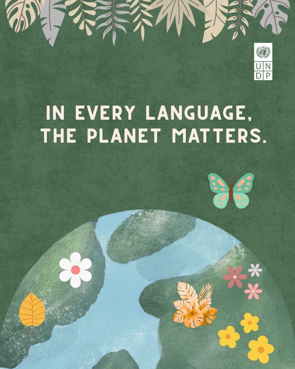 UN Development tweet media