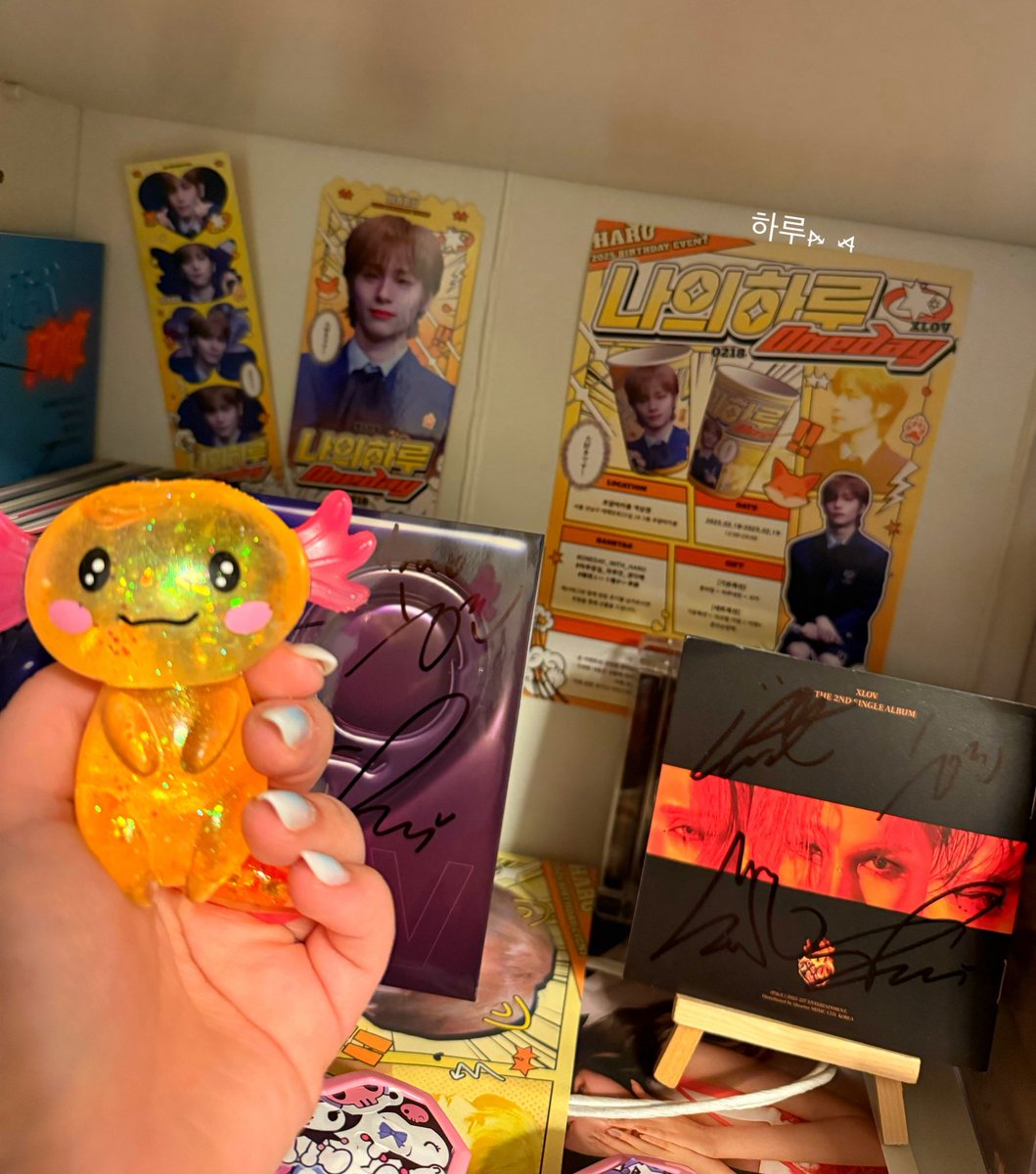 💛🦊 RuRu ⦮ ⦯ #XLOV #엑스러브 #HARU #하루 #ハル #暖琉