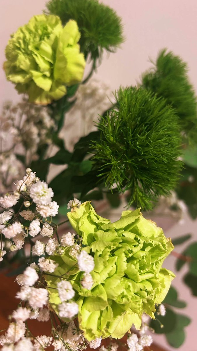 💜Thank you for celebrating my birthday everyone !! 💜
Cake &amp; flowers for you guys !! Thank you for always supporting meee, I had a wonderful birthday ✨ this setup was so scuffed bc I lit up the sparklers but forgot to light the "5" candle LMAOO asdfghjkl; 

#EnnDay2026