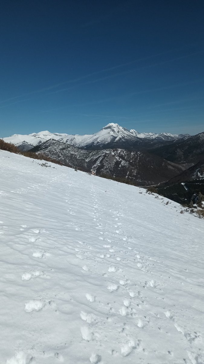 SenderismoVa's tweet photo. Pico Cueto 
Montaña Oriental Leonesa
@SenderismoCyL @Jesuseh68 
20 febrero 2026 https://t.co/DGTdqrCDG9