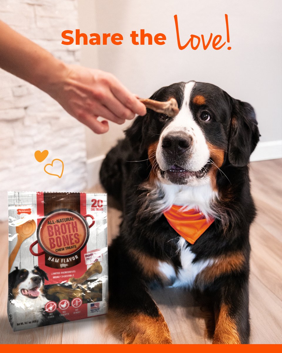 Nylabone Products tweet media