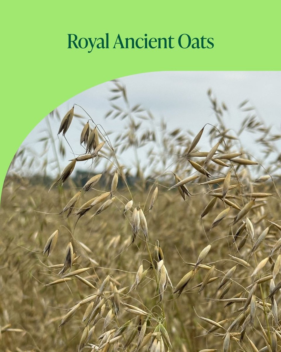 Standard Process Inc tweet media