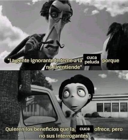 Luis Gerardo Rodriguez (LG Music) (@lg_music__) on Twitter photo 