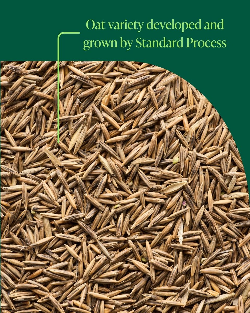 Standard Process Inc tweet media