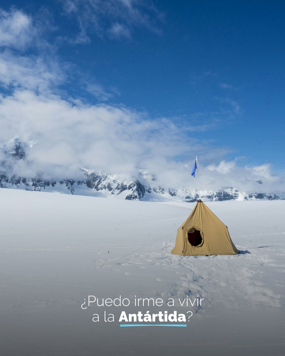 Un Mundo Inmenso tweet media