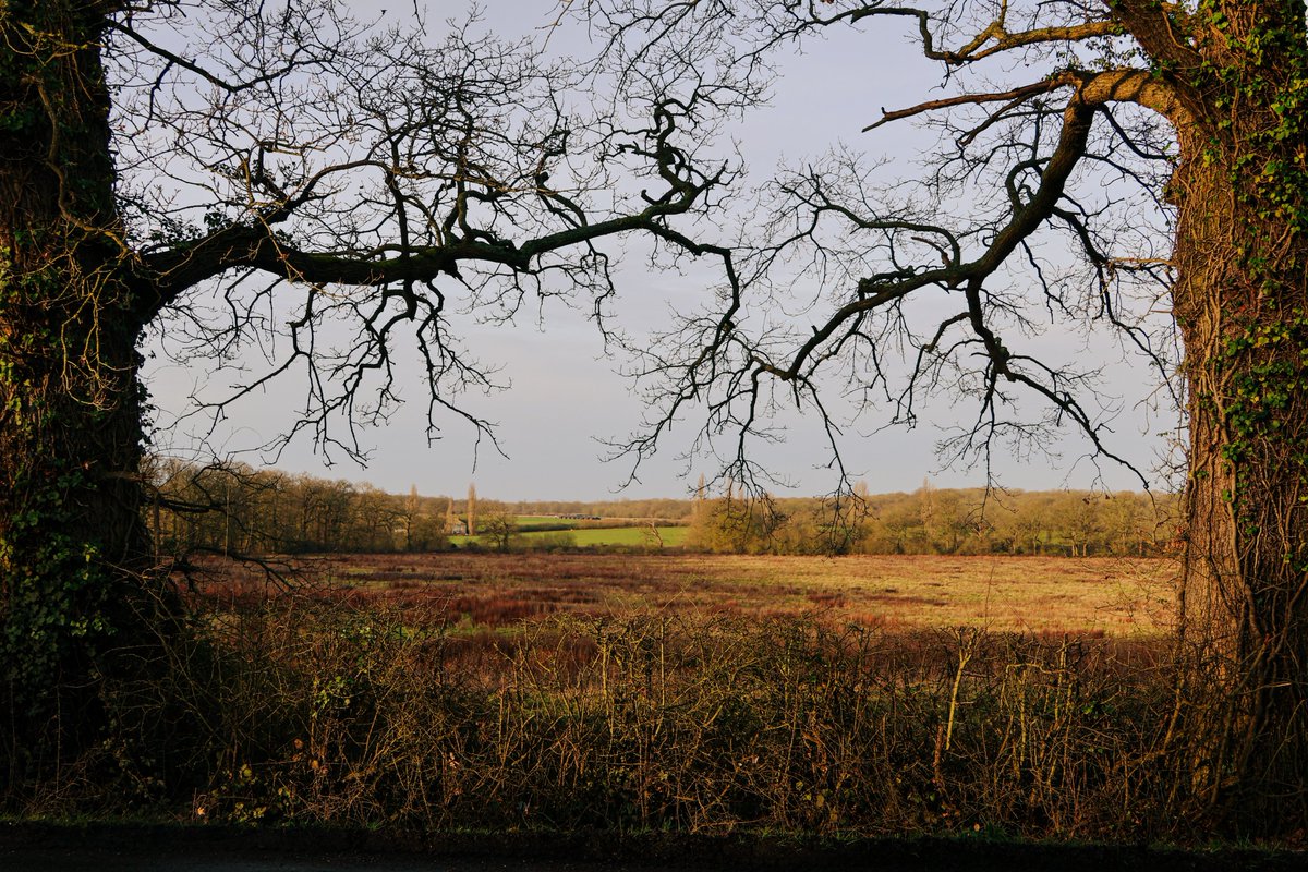 Waving goodbye to winter