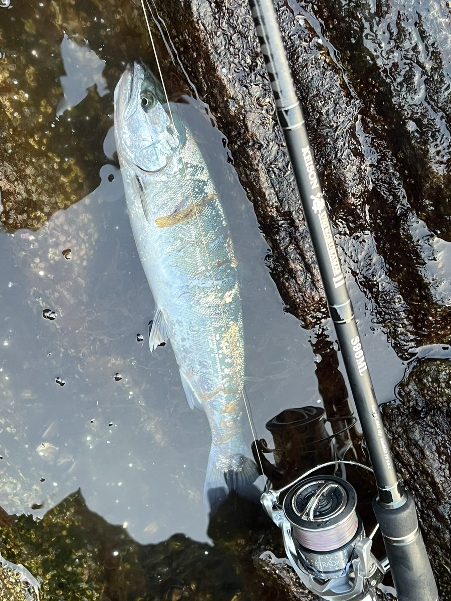 公式】tailwalk (テイルウォーク)｜世界中の釣り好き応援中