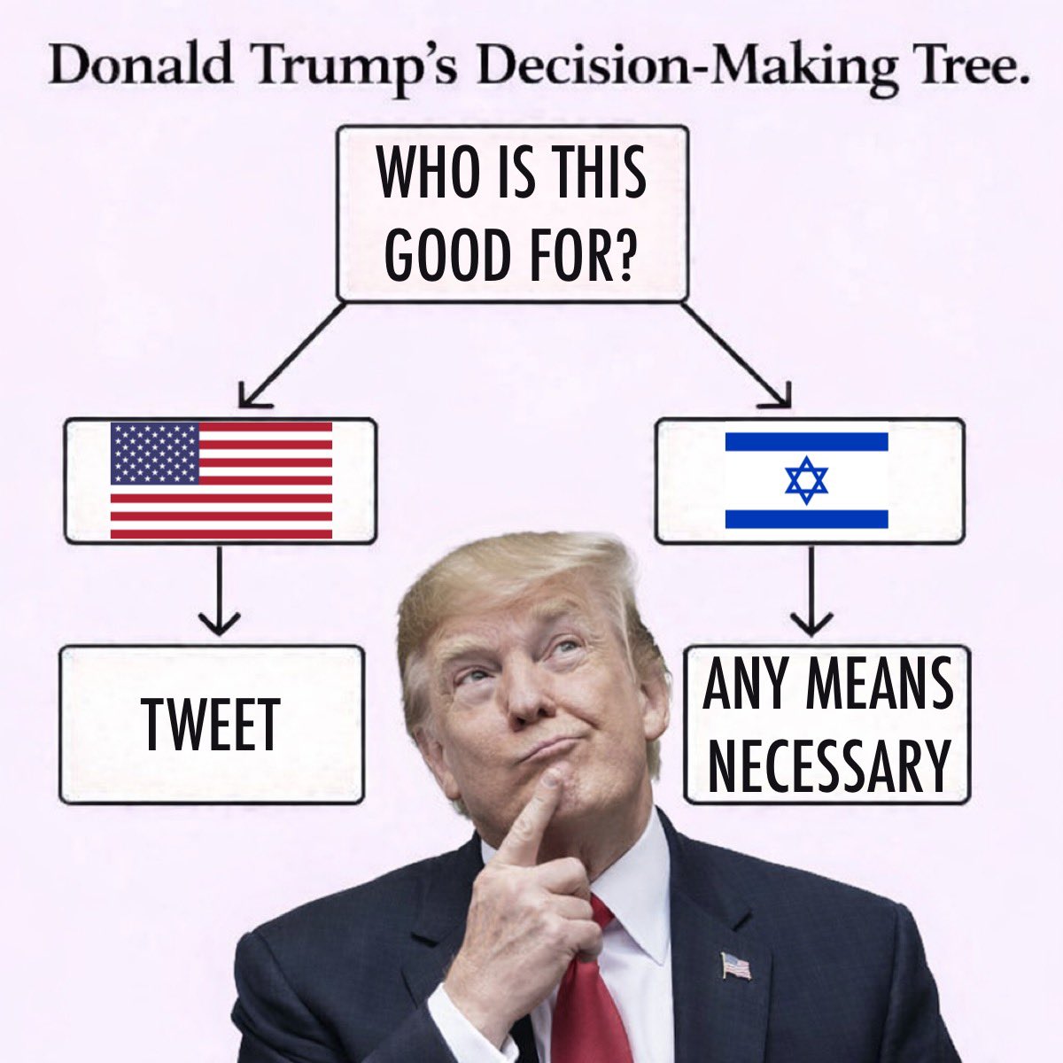 itsOnlyGROYPERnow tweet media
