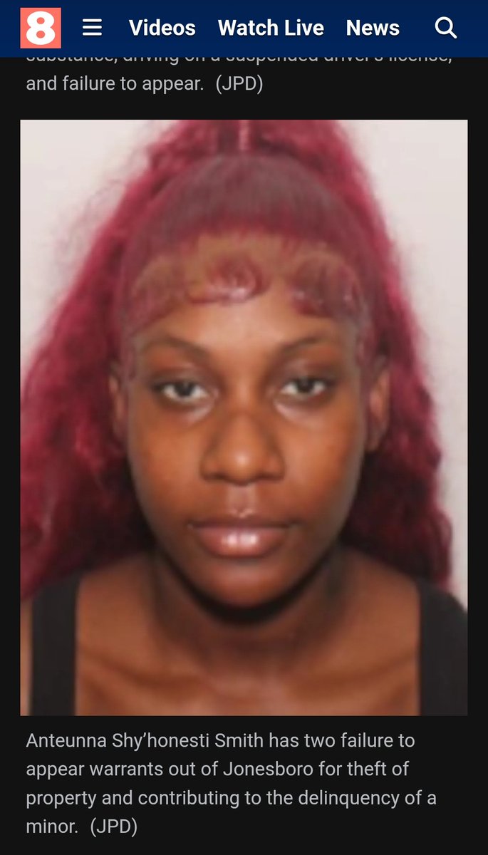 💫TARDMAXXING Your Timeline 💫 tweet media