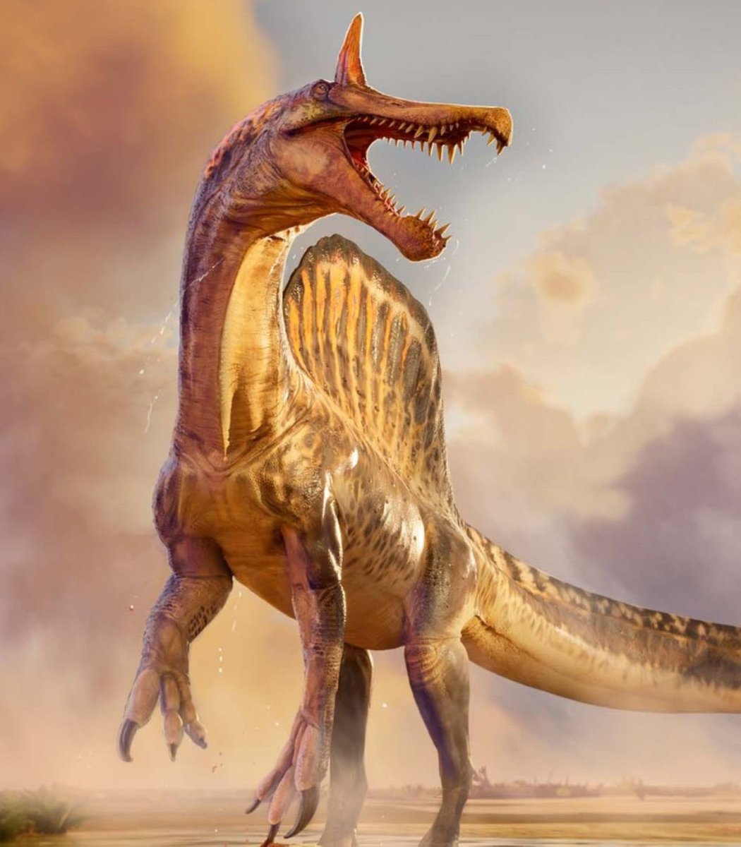 FRENCHRAPUS 🇺🇸 tweet media