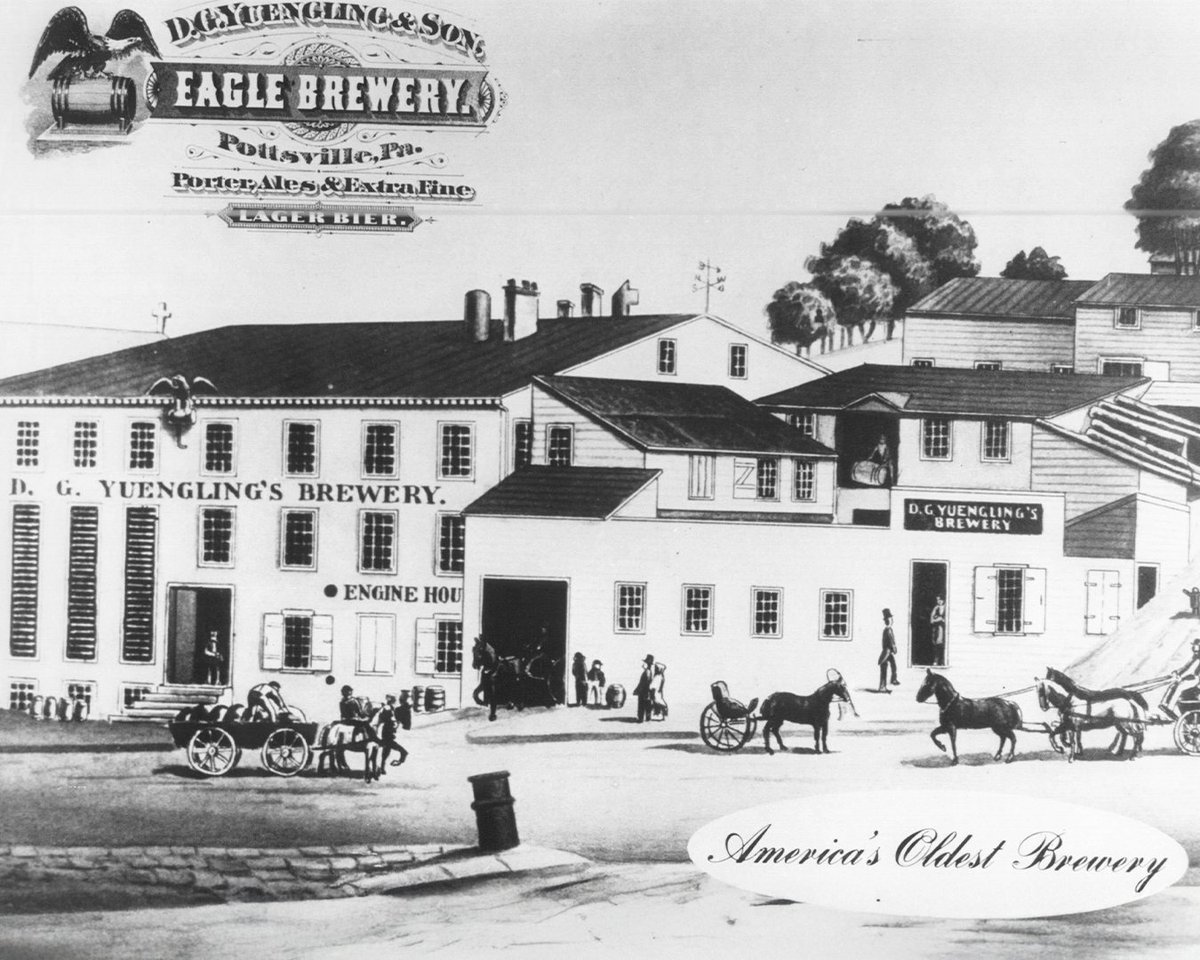 Yuengling Brewery tweet media