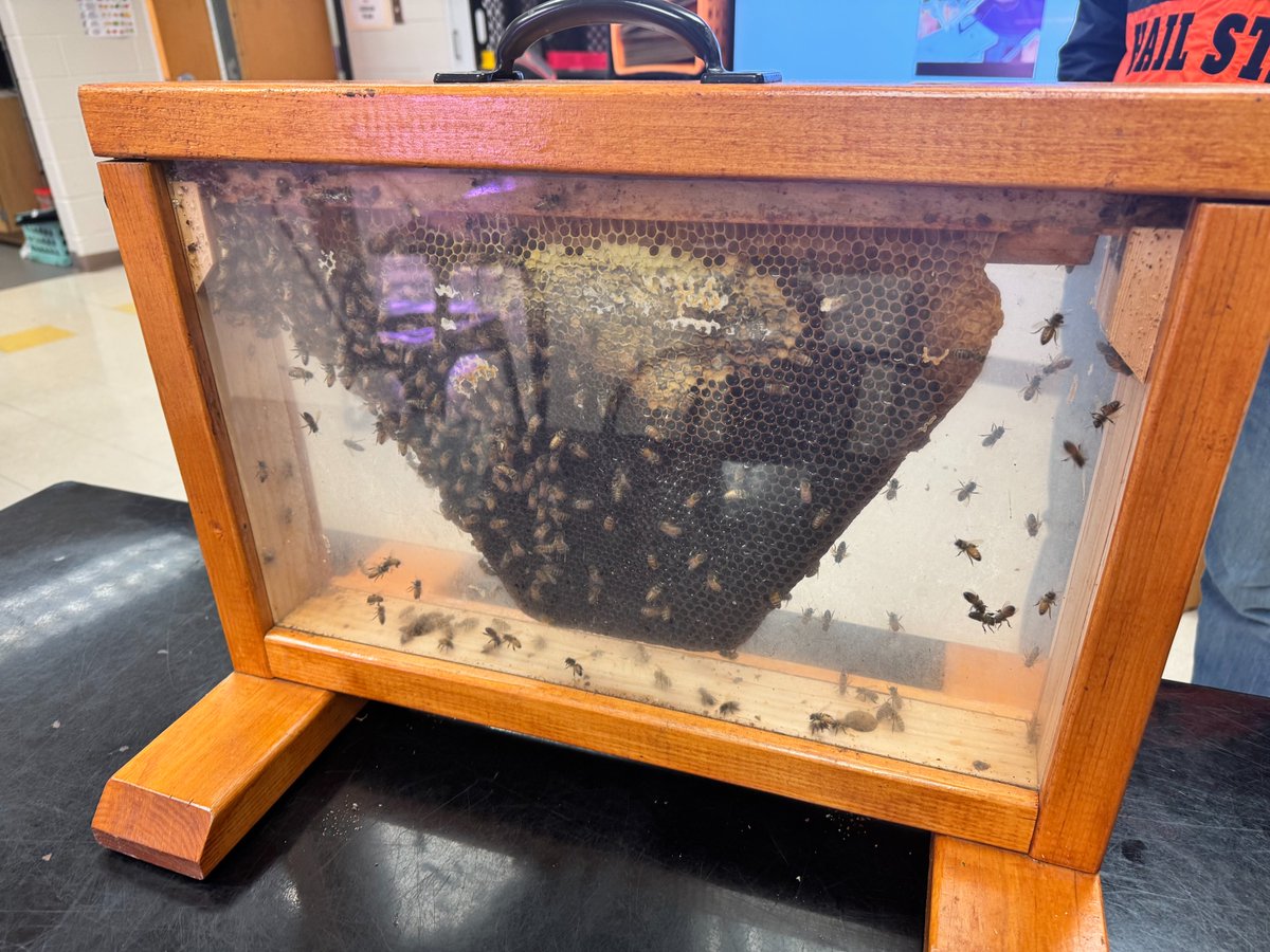 Price Middle School tweet media