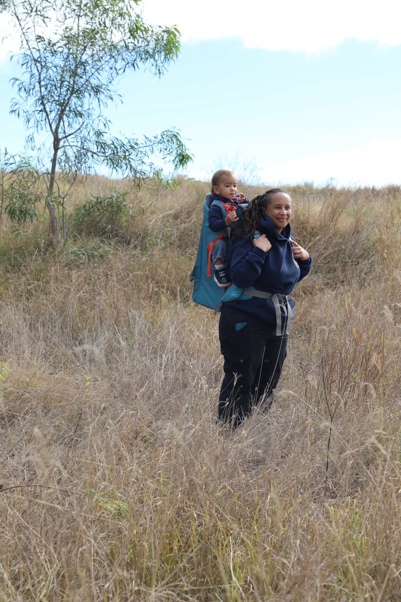 Firesticks tweet media