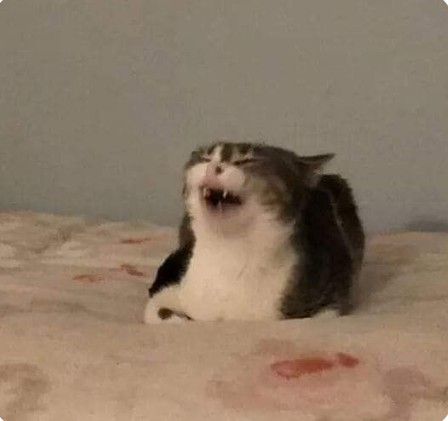 hace días estaba así por guanipa // y ahora estoy así cagándome de risa con sus tweets