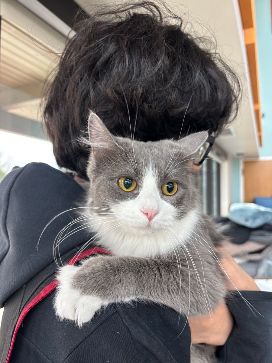 Spay Neuter Network tweet media