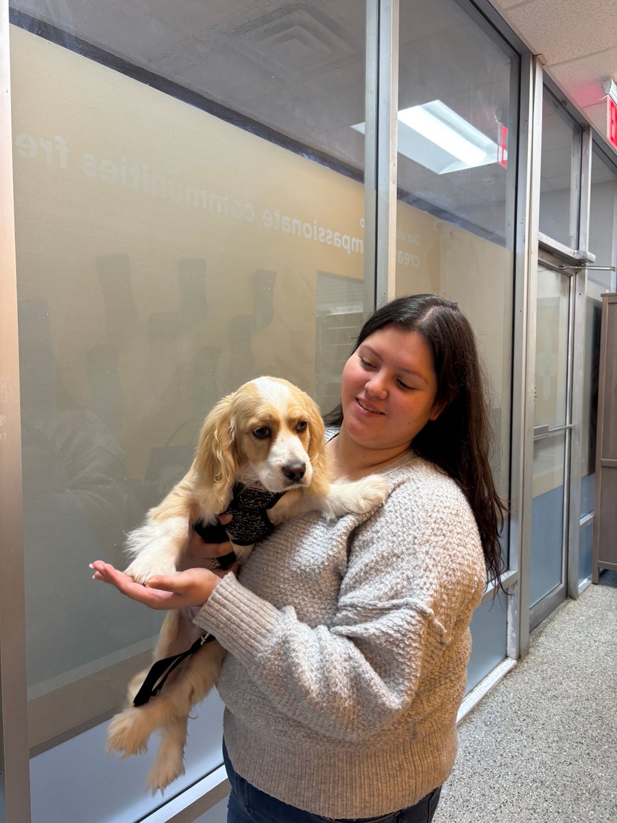 Spay Neuter Network tweet media