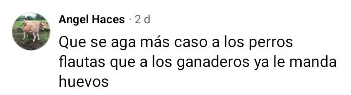 Jorge Soto (@sotoljorge) on Twitter photo 