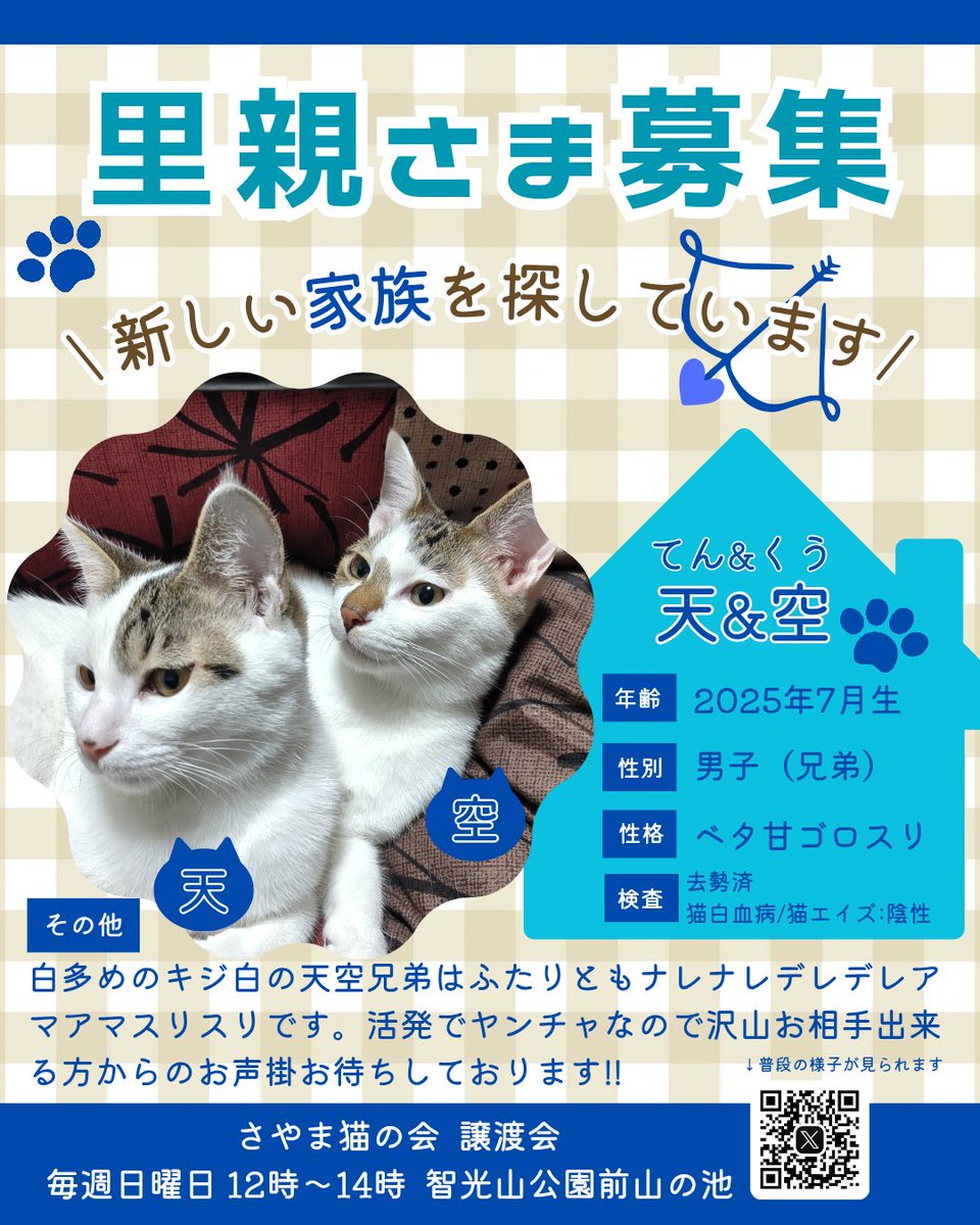 明日2/22(日) #さやま猫の会 さん #譲渡会 開催日☀
お散歩日和‼️ぜひ #智光山公園前山の池 へ遊びに来てね🐱❤
りんを&amp; #天空兄弟 は都合によりお休みです🙏
気になる方はぜひ常駐スタッフさんへお声掛け下さいね😌🍀
#拡散希望