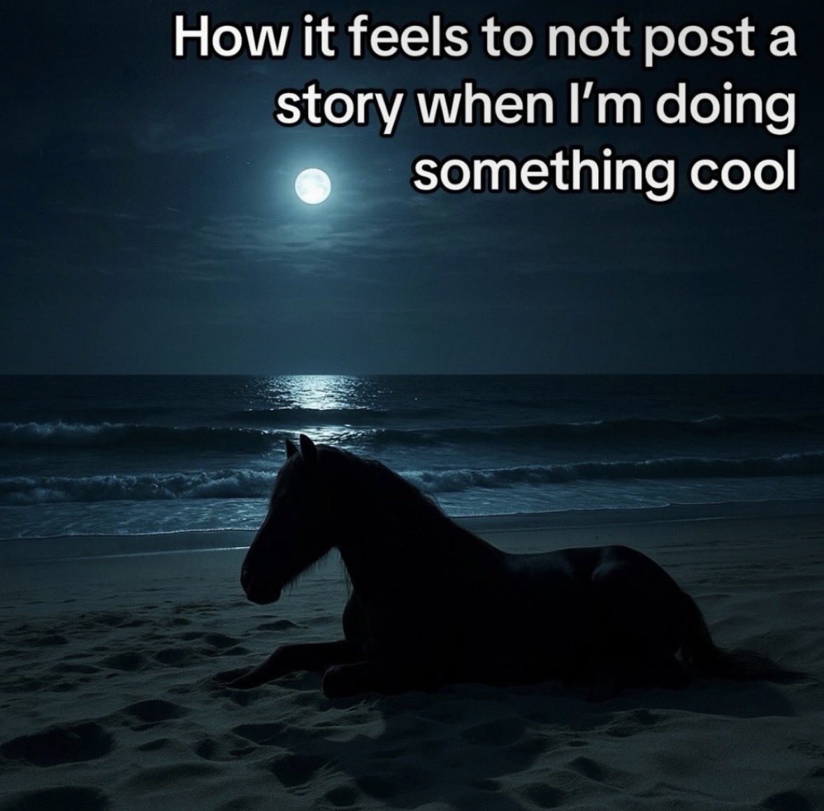 Respectful Memes tweet media