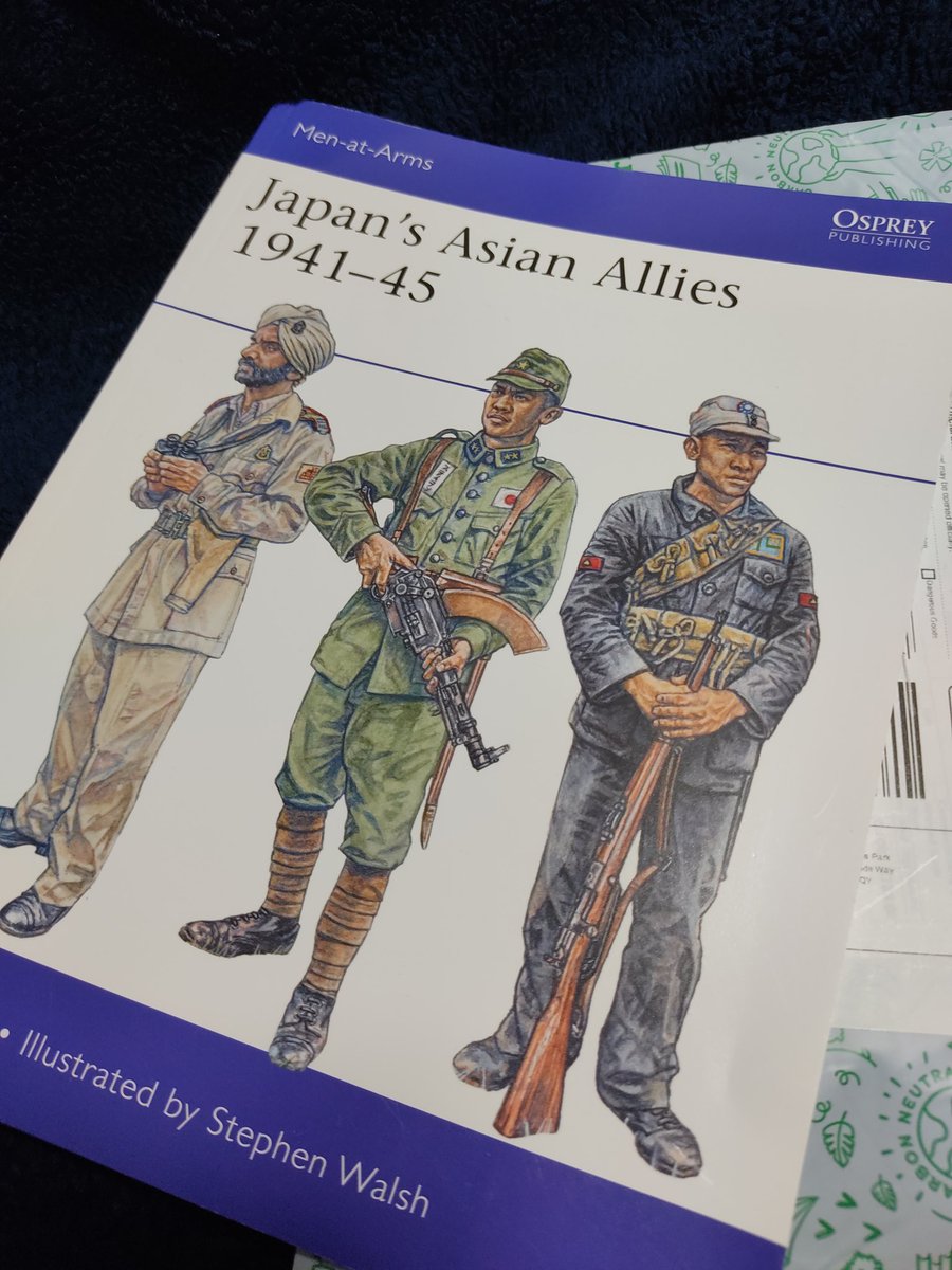 満洲国軍と蒙古聯合自治政府軍 日本軍と同型ながら青地の羅紗の階級章