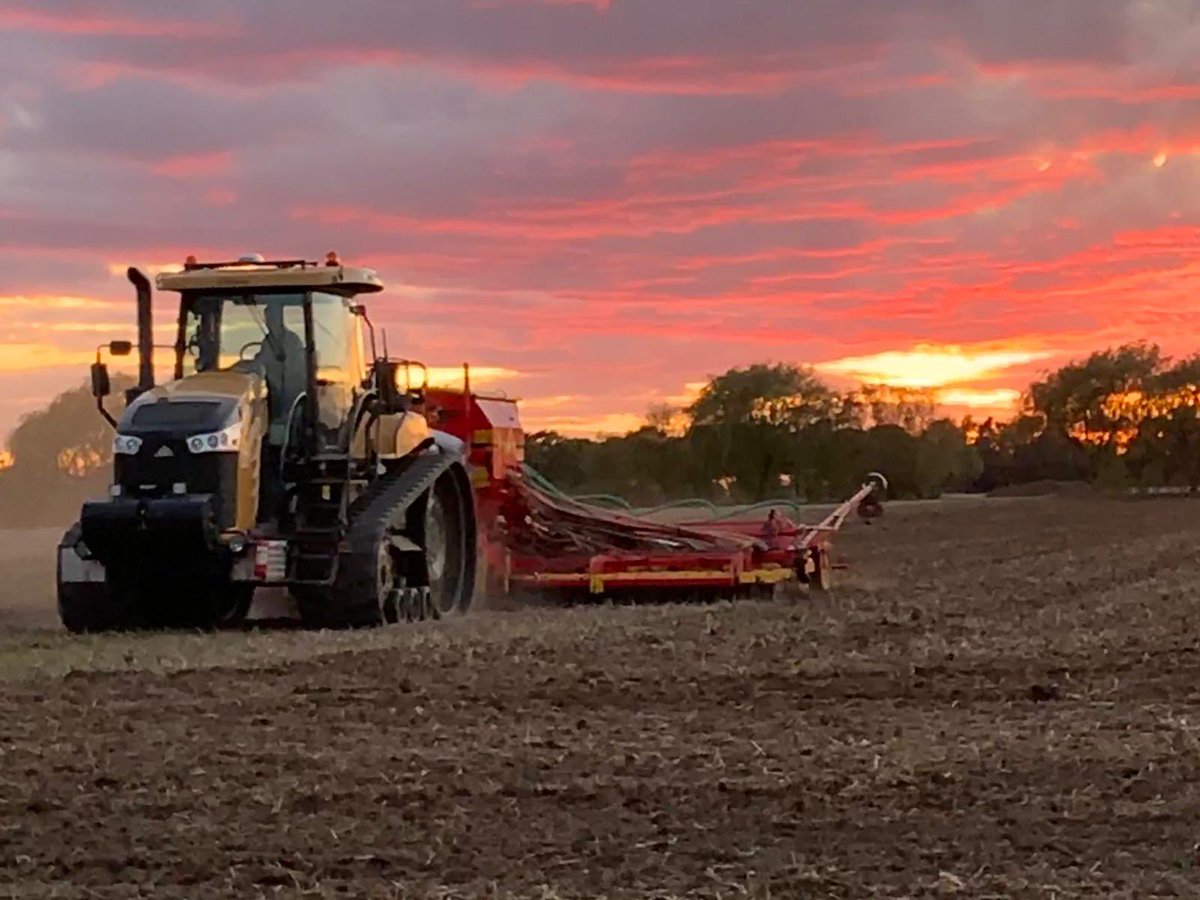 Anna Longthorp tweet media