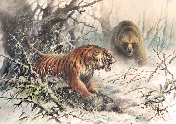 The Great Wild tweet media