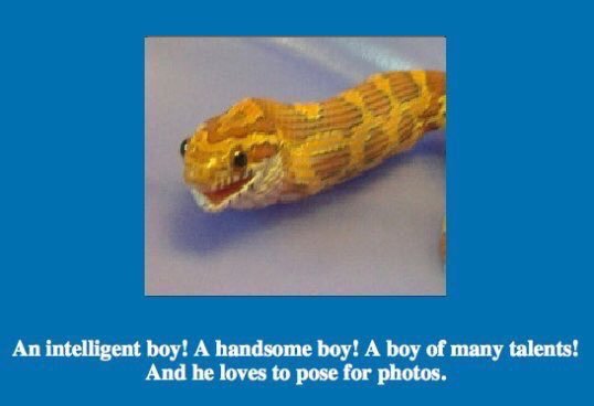 Grande (@sixrande) on Twitter photo 