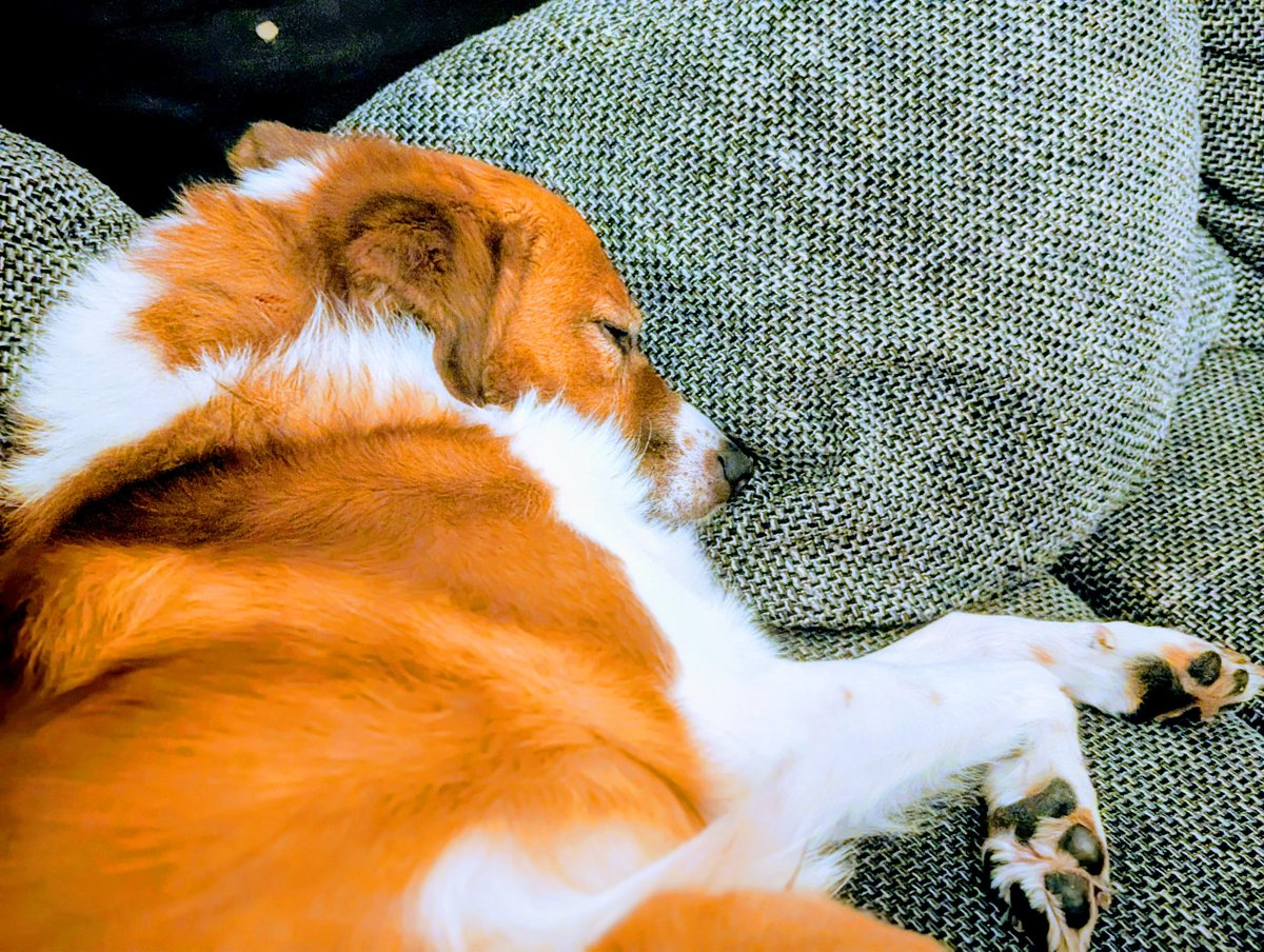 Es ist Freitag und somit Zeit für den #FlauschZumWochenende