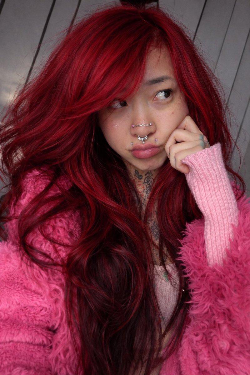 🎀 a knee meow 🎀 FREE OF tweet media