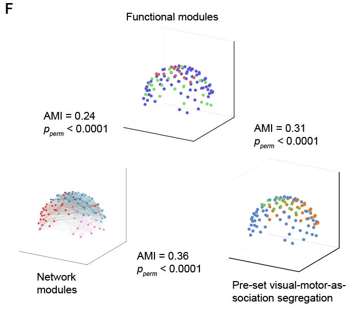 Peiyu Chen tweet media